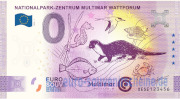 Souvenir